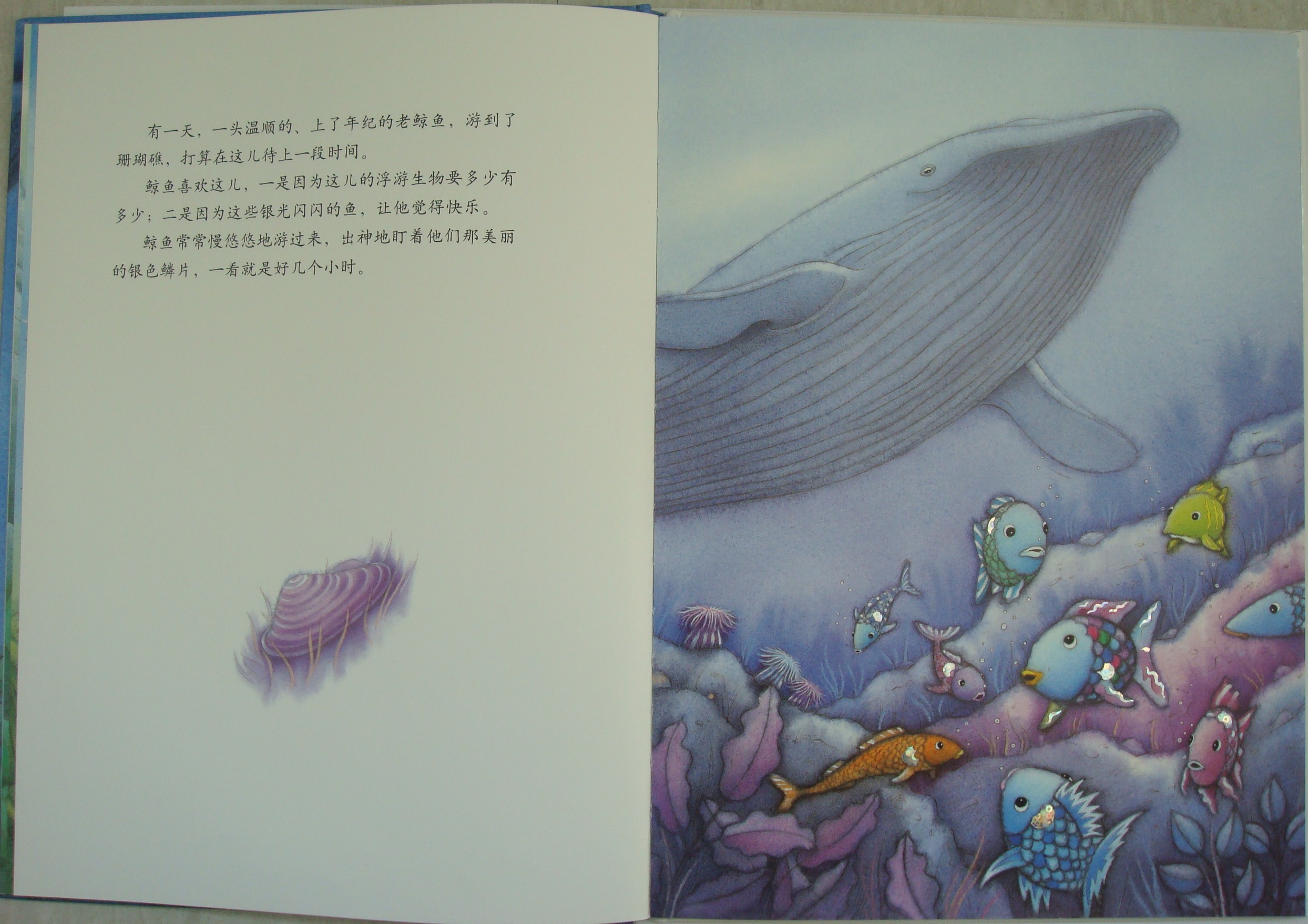 彩虹鱼和大鲸鱼 (04),绘本,绘本故事,绘本阅读,故事书,童书,图画书,课外阅读